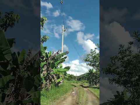 MIRACATU valé do ribeiro são Paulo