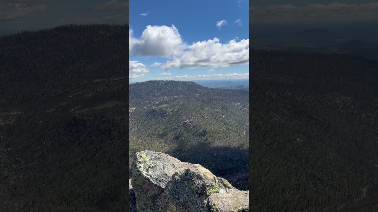 YouTube Short thumbnail