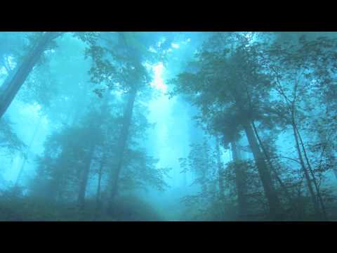 Emily Underhill - Dreamcatcher (JacM Remix)