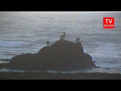 Caleta Duao (Licantén) - Región del Maule [02/09/2012]