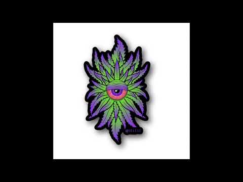 ULICNI PARLAMENT - SAMO ROLAM