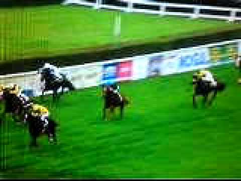 jeden z menších dostihů před velkou pardubickou