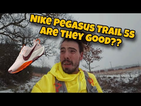 Nike Pegasus Trail 5 Gore-Tex - Do YOU Need Them In The UK Winter