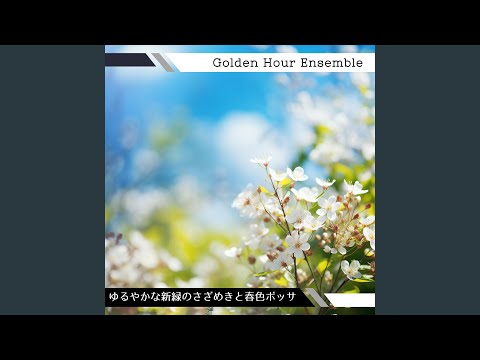 カスタムデザインのデザイナー木製庭小屋