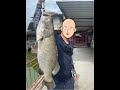 Awesome Catch Rate Auntie S Pond 5kg Seabass Included D