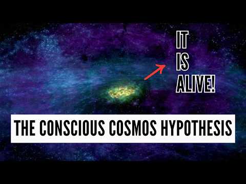 The Conscious Cosmos Hypothesis - Is the Universe Aware of Itself (MINDBLOWING)