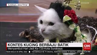 Download lagu Kontes Kucing Berbaju Batik | CNN INDONESIA NEWS UPDATE  (16/5/22) mp3