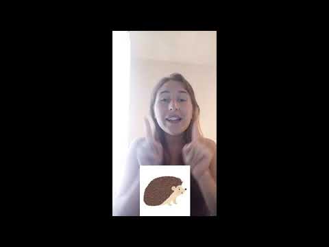 L'automne grelotte (Fall is shivering) de Chantal Abraham