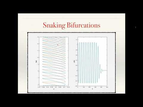 Jason Bramburger: Snaking bifurcations in higher space dimensions