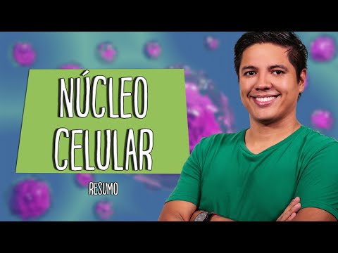 NÚCLEO CELULAR - RESUMO PARA PROVA  - Prof. Kennedy Ramos