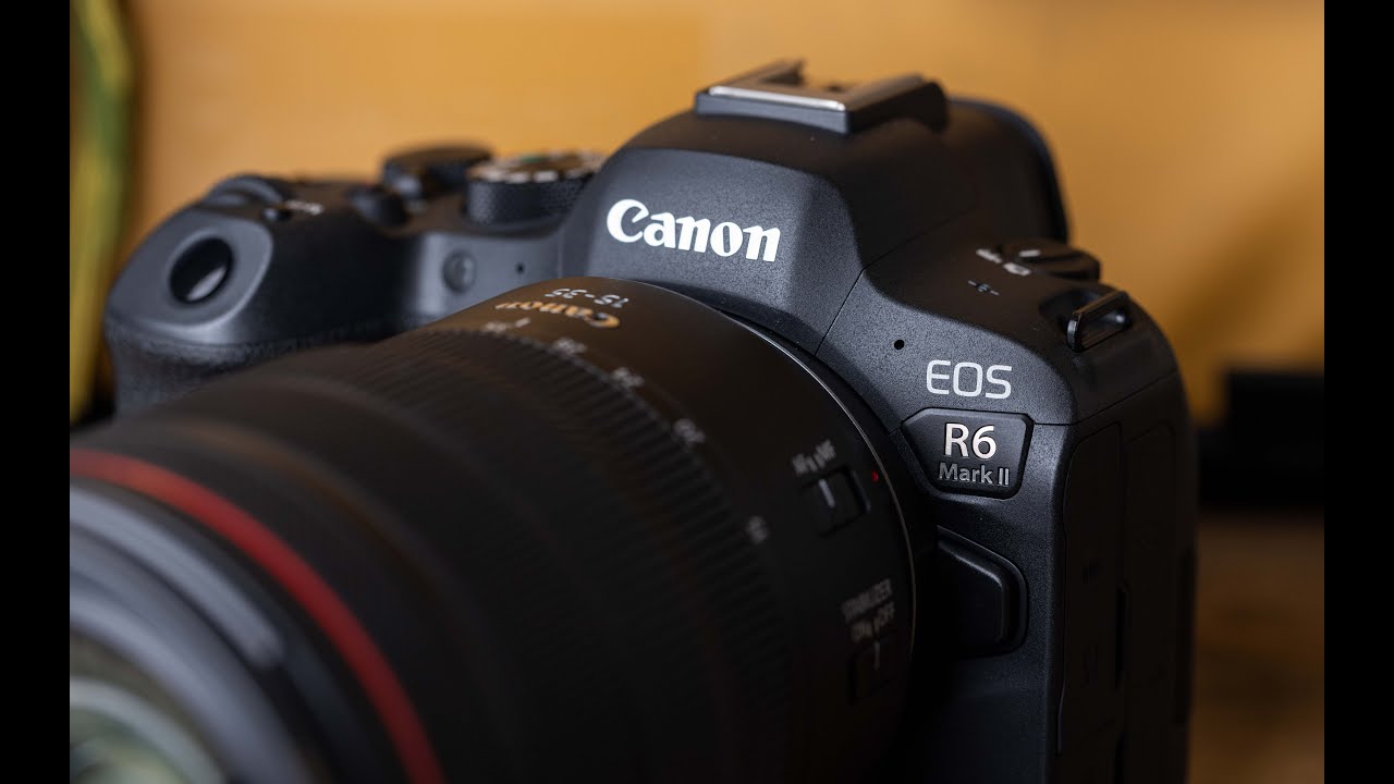 1 Year with the Canon R6 Mark II: Long Term Review