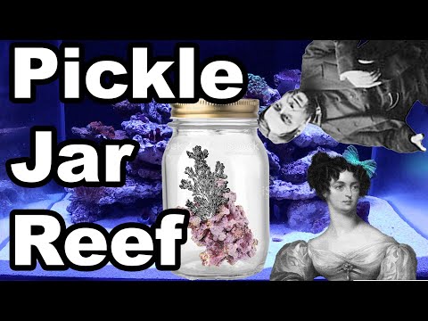 Aquarium HISTORY inspired NANO MARINE AQUARIUM | Fish Tank History!