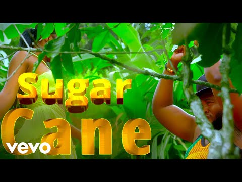 Tristan Rayon Nelson - Sugar Cane (Official Video)