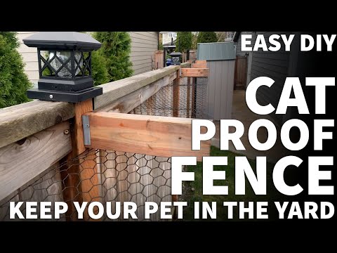 YouTube video about: Can cats climb chicken wire?