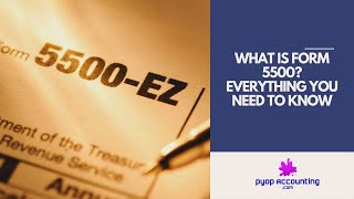 What is Form 5500 Everything You Need to Know