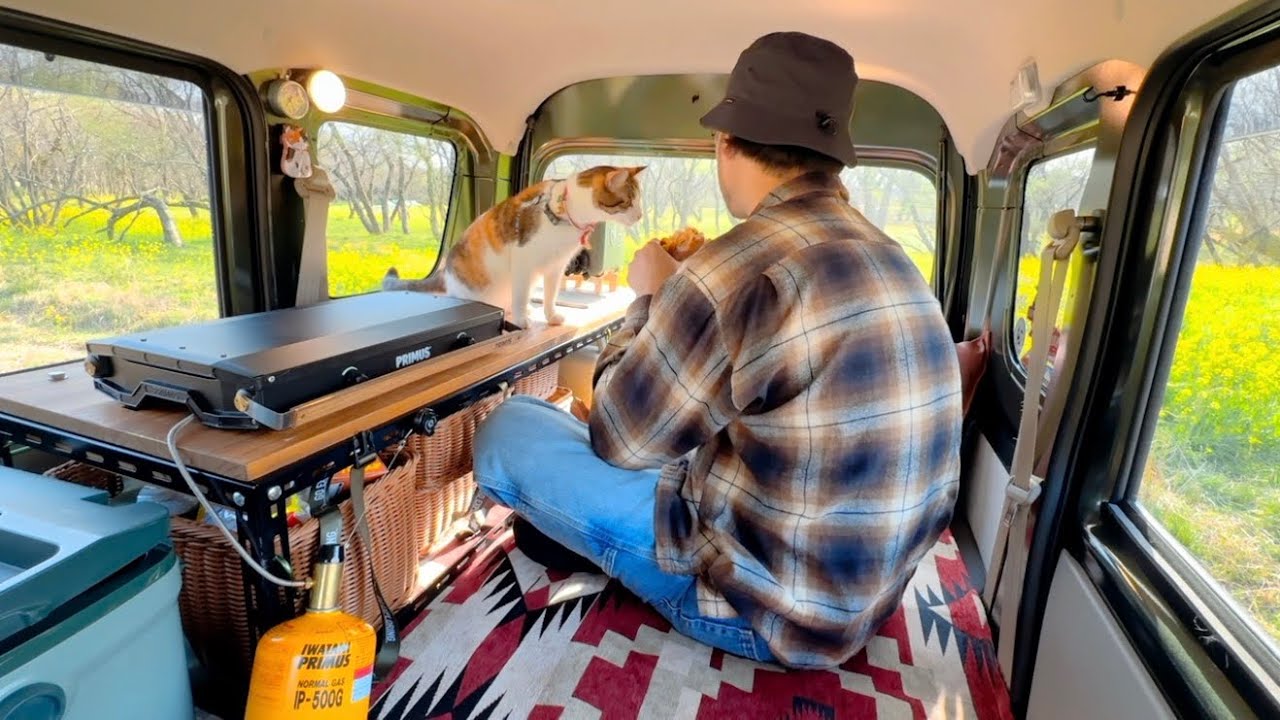 うみ と菜の花を見ながらデイキャンプ