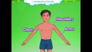 Learn Grade 1 - EVS - The Parts of Our body