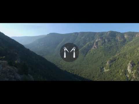 Bashmotion Vlog 195 - Тийзвам