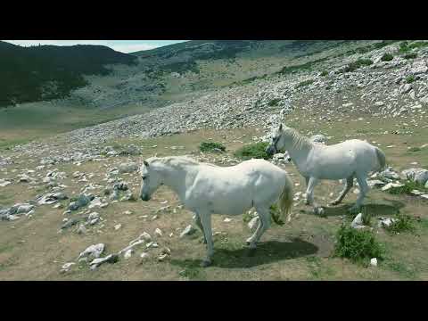 Maja e Rusolise, bjeshket e Pejes