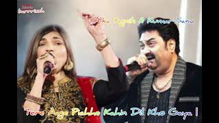 Download lagu Tere Aage Pichhe Kahin Dil Kho Gaya | Alka Yagnik & Kumar Sanu | YouTube barrrissh🤹♂️ mp3 Download lagu Tere Aage Pichhe Kahin Dil Kho Gaya | Alka Yagnik & Kumar Sanu | YouTube barrrissh🤹♂️ mp3