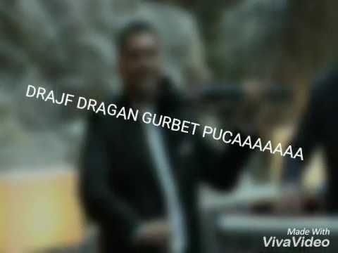 DVOJKE&DRAJF DRAGAN GURBET drajffff aca cergar mikica tomin