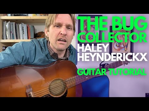 The Bug Collector Guitar Tutorial   Haley Heynderickx - Guitar Lessons with Stuart!