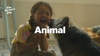 The Farmer's Dog The Farmer's Dog Commercial: Animal