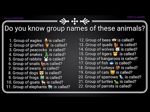 image-Which is found in a group other than animals?