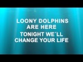 Loony Dolphins Music 2015 