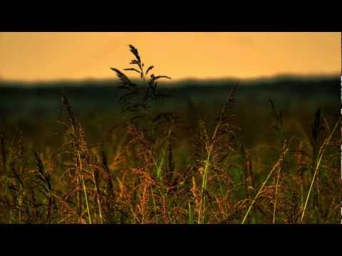 Starkillers & Dmitry KO - Odessa (Rework 2012)