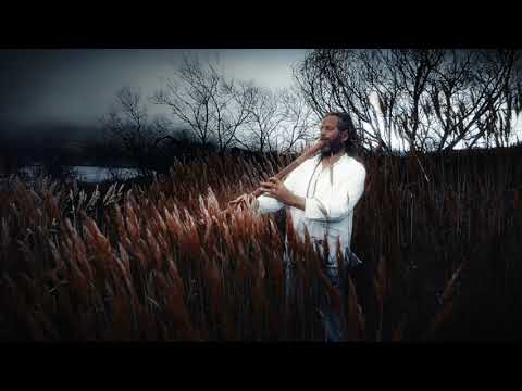 Journey To Peace Within 🕊️ Shakuhachi 尺八 Music For Peace Stillness & Calm