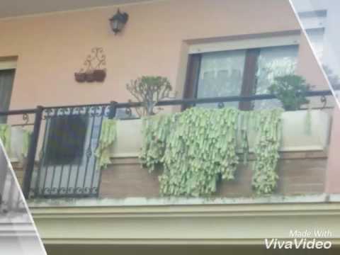 Musicale - Ville e Case in Fiore -