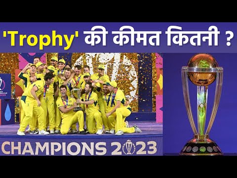 ICC World Cup 2023 Trophy Price In Indian Rupees | Australia Win World Cup 2023 Trophy Price Reveal
