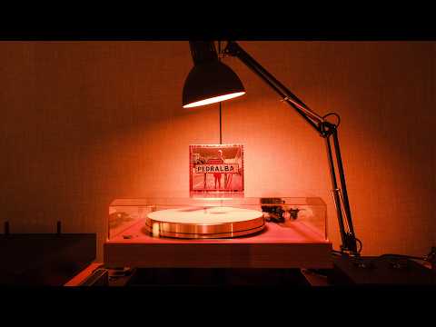 Vlad Flueraru - zbor (feat. Francis On My Mind)