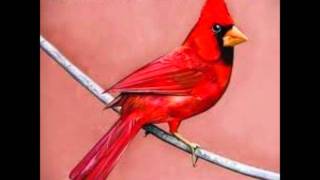 alexisonfire heading for the sun