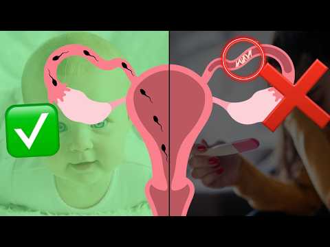 Blocked tubes: symptoms, causes and solutions for getting pregnant.