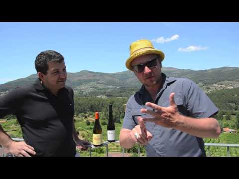 Folge 225 Ankündigung des 20. Livestreams am 21. August ab 20.00 Uhr - "Das Sonnenplatz-Paket"