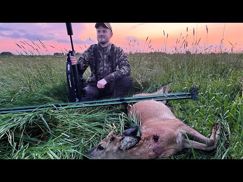Pirschjagd im Frühjahr auf Rehwild - Jagdkrone