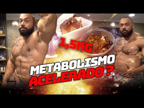 O METABOLISMO ACELERADO DE JULIO BALESTRIN
