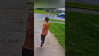 Dog hit by car. 😳 #crash #fail #dog #carcrash #omg #accident