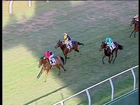 Galoppo 17/12/2019 - 2ª corsa