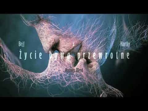 Bejf ft. Kartky - Życie bywa przewrotne / Madness Blend / 2018