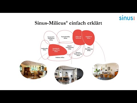 Sinus-Milieus® einfach erklärt (Erklärvideo / Explainer video)