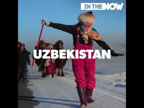 "Steppes to the West" covered by Inthenow