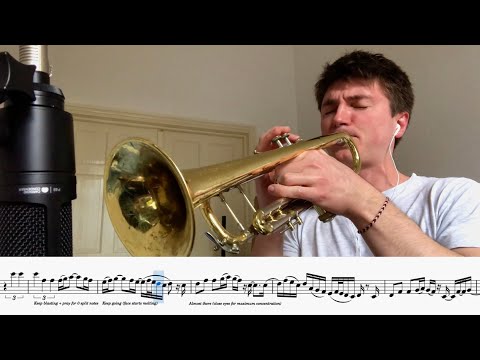 What if Fireflies had a trumpet solo