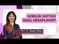 Gebelik Haftası Nasıl Hesaplanır? Neye Göre Hesaplanır?