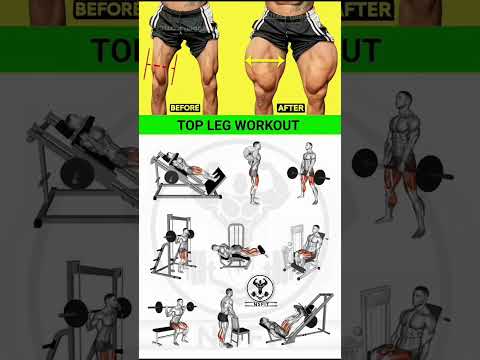 Top Fitness Expert Reveals Best LEG WORKOUT Techniques