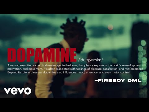 Fireboy DML - Dopamine on Spotify Charts