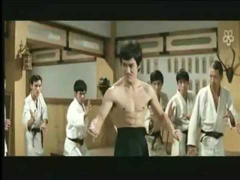Bruce Lee Indestructible