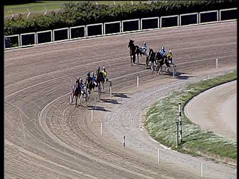 Trotto 13/10/2019 - 2ª prova di qualifica